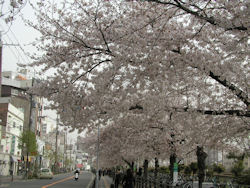 ������w�O