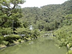 �g������