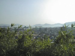 �`�̌������������