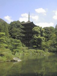 �ڗ�����