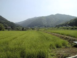 �ډw����