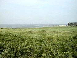 ����{�R�w����