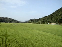 �l������