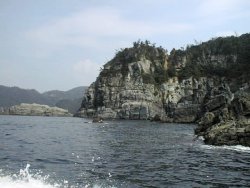 �C���V���D����