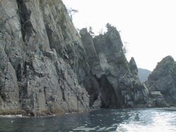 �C���V���D����