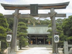 �����_��