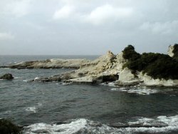 �����C��