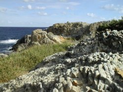 �����C��