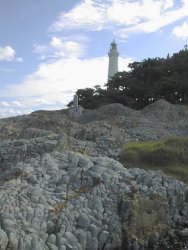 ����ꓔ��