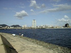 �����΂Ə��]�s�X