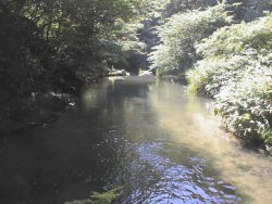 ���܂������k�J