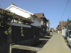 �q�̕��ԑq�g