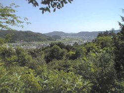 �Ő���������