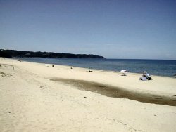 �l���C��