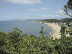 ���e�C��