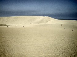 ���捻�u������l�X