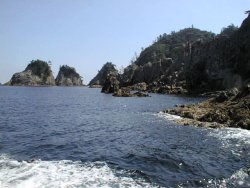 �Y�x�C�ݓ�����V���D����