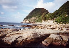 �L�̔��Α�