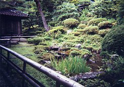 ������̒뉀