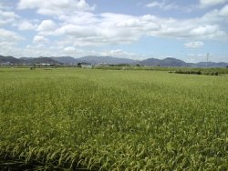 �n�x�w����