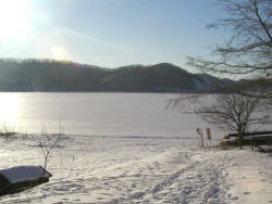 �X�������V�����g����