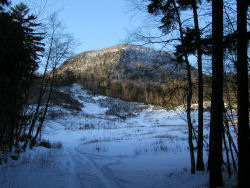 �X�L�[���