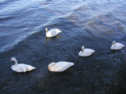 �����o��