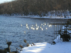 �m������t��