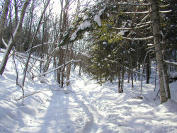 �|���|���R�֌�����