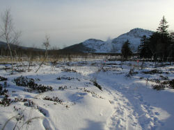 �����R��]��