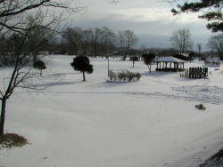 �΃��u����