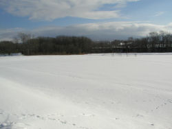 �������̐ጴ