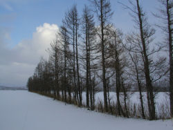 ���t���̗�