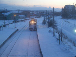 �������w