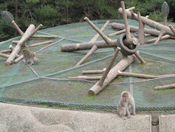 �쉎�����̉�