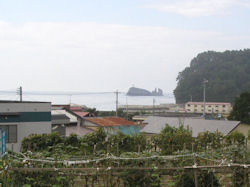 �e���̏W��