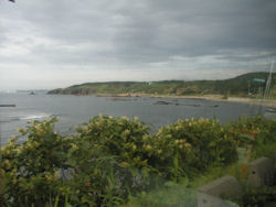 ��Ԃ֌�����