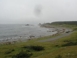 ���̑���