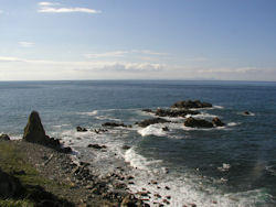 �K����̐��C