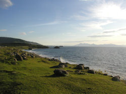 �k�C���̓��e