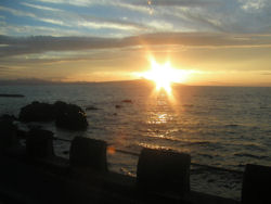 �[���̎ԑ�