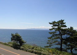 ����n�闤���p