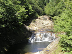 �����̑��