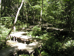 �X�̒��̎���