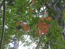 �g�t����