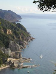 �����Y�W�]�䂩��