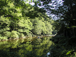 �򌤌k�J�̐Â��ȕ�