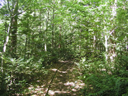 �X�ѓS���̃��[��