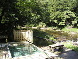 �쉈���̘I�V���C