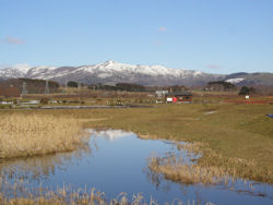 ����ߌ���